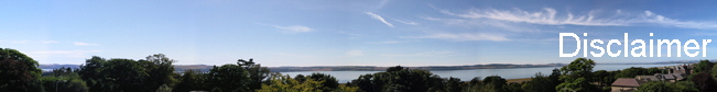 Disclaimer